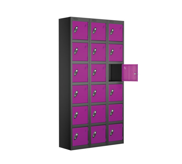 Probe Lockers for 12 users, shown in black body, lilac doors