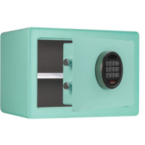 phoenix safe dream 1m with door open
